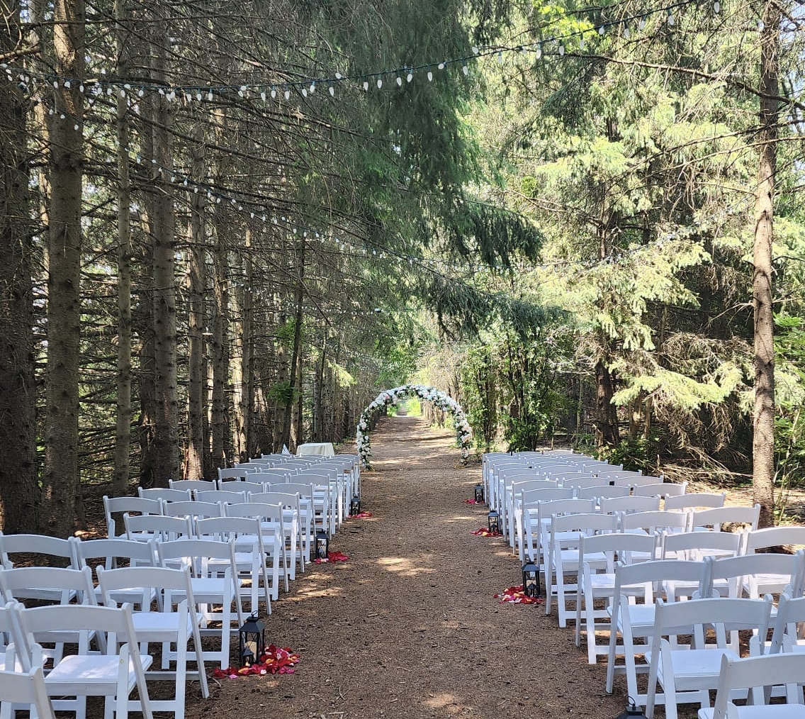 scugog wedding flower arch