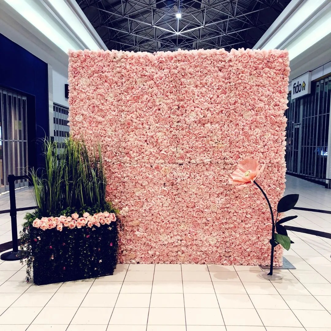 Pink Blush Flower Wall Rental