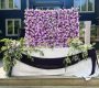 purple-flower-wall-rental