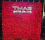 red-rose-flower-wall-rental